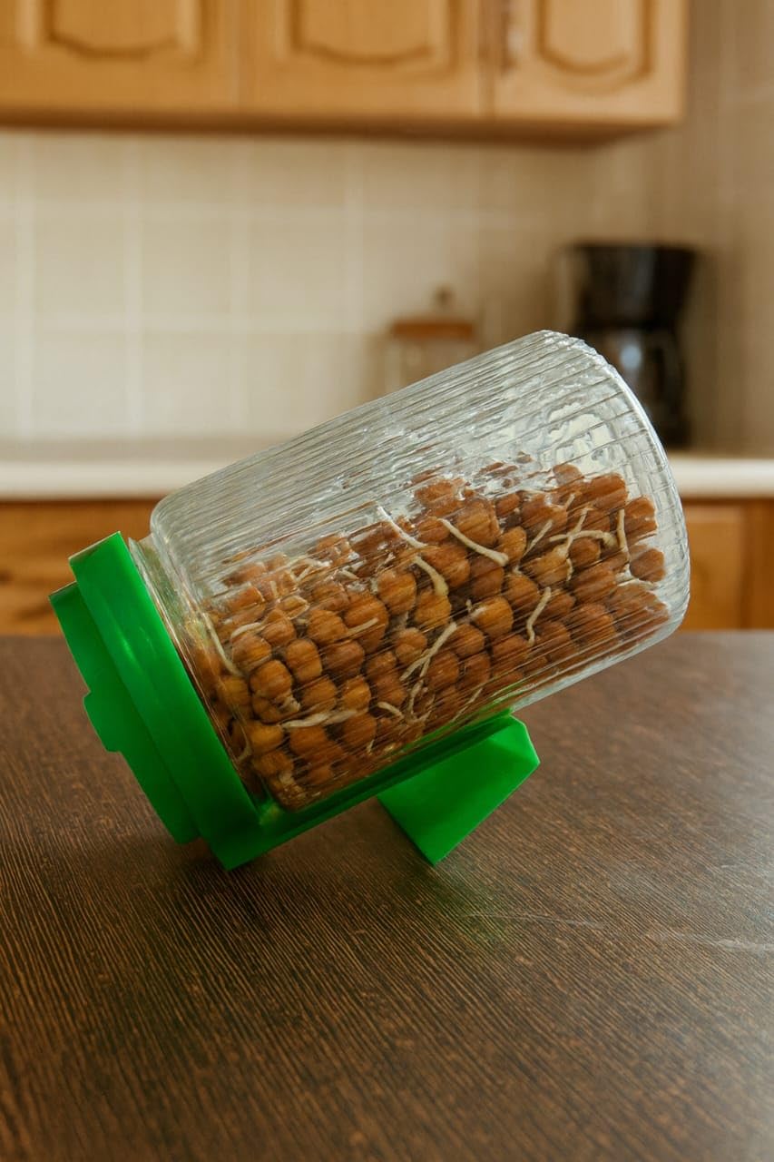 UCRAVO 720 ML Glass Sprout Growing Container with Stainless Steel Mesh Lid & Angled Drainage Stand | Beginner Friendly DIY Sprouter for Organic Seeds, Beans, and Microgreens Kit