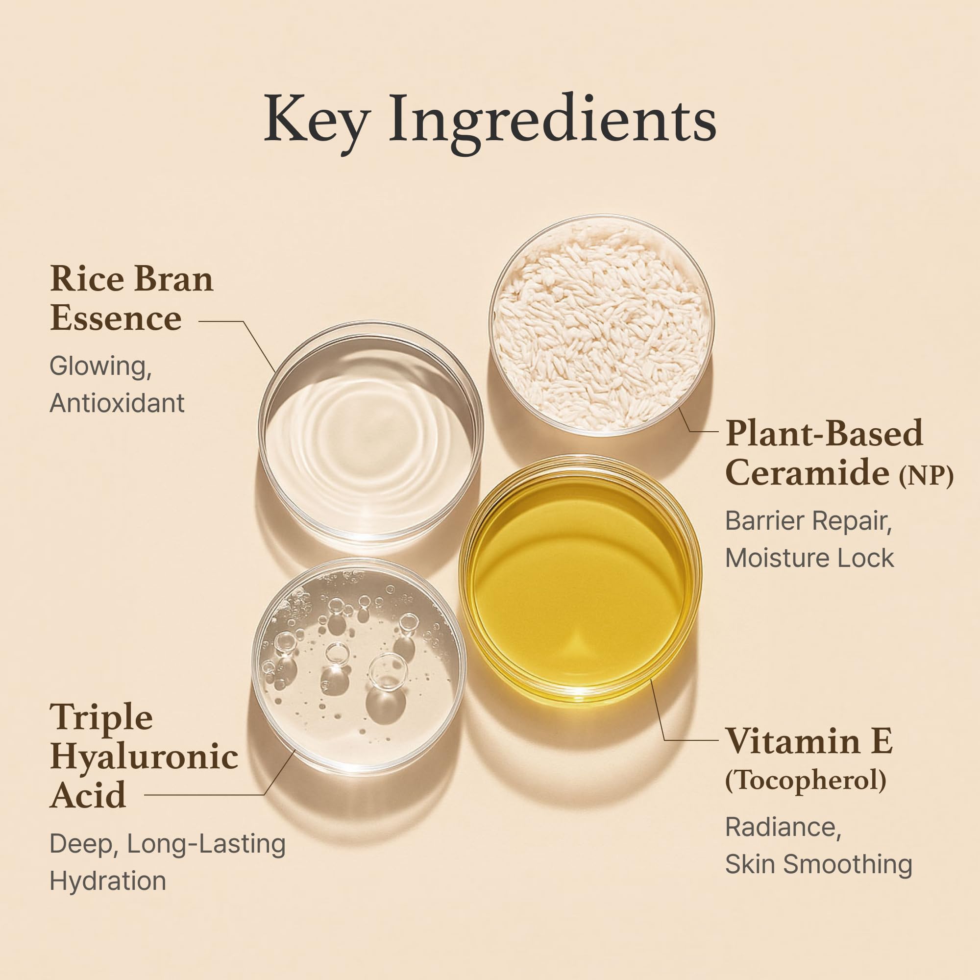 UCRAVO Rice Cream 1.76 Ounce, Rice Bran Essence with Ceramide, Glowing Look, Improves Moisture Skin Barrier, Deep Nourishment, Smooths and Evens Skin Tone, K-Beauty